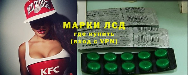 ECSTASY Лагань