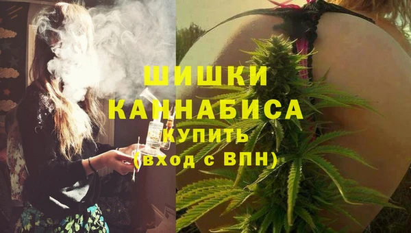 амф Кулебаки