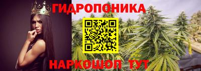 jwh Кандалакша