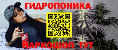 дурь Камышлов